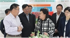 市委副書記、代市長艾麗華來我公司考察、調(diào)研
