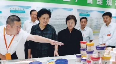 原中共中央政治局委員、國(guó)務(wù)院副總理劉延?xùn)|視察我公司